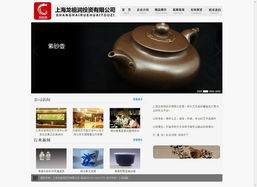 上海網(wǎng)絡(luò)營銷案例集錦 從網(wǎng)站建設(shè)到整合推廣的精算師式成功實踐